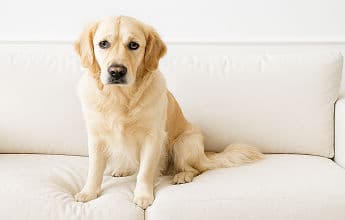 Image of problem we solve-2